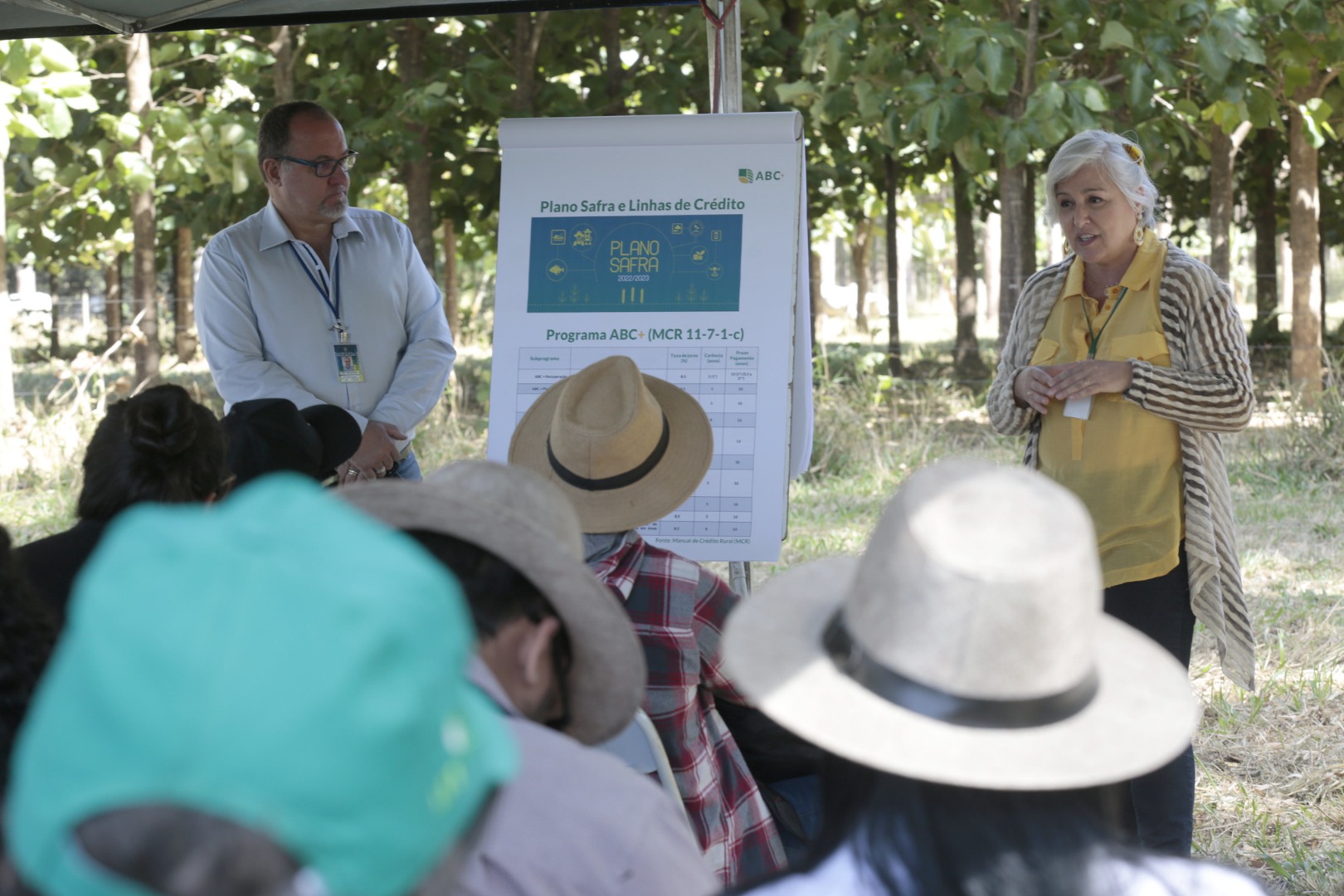 Em Dia de Campo Mapa e Embrapa apresentam sistema de Integração