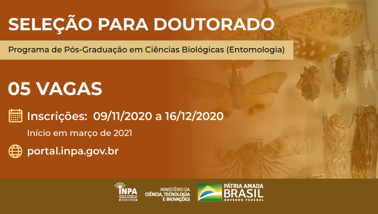 Curso De Doutorado Em Entomologia Do Inpa Oferece Cinco Vagas Em