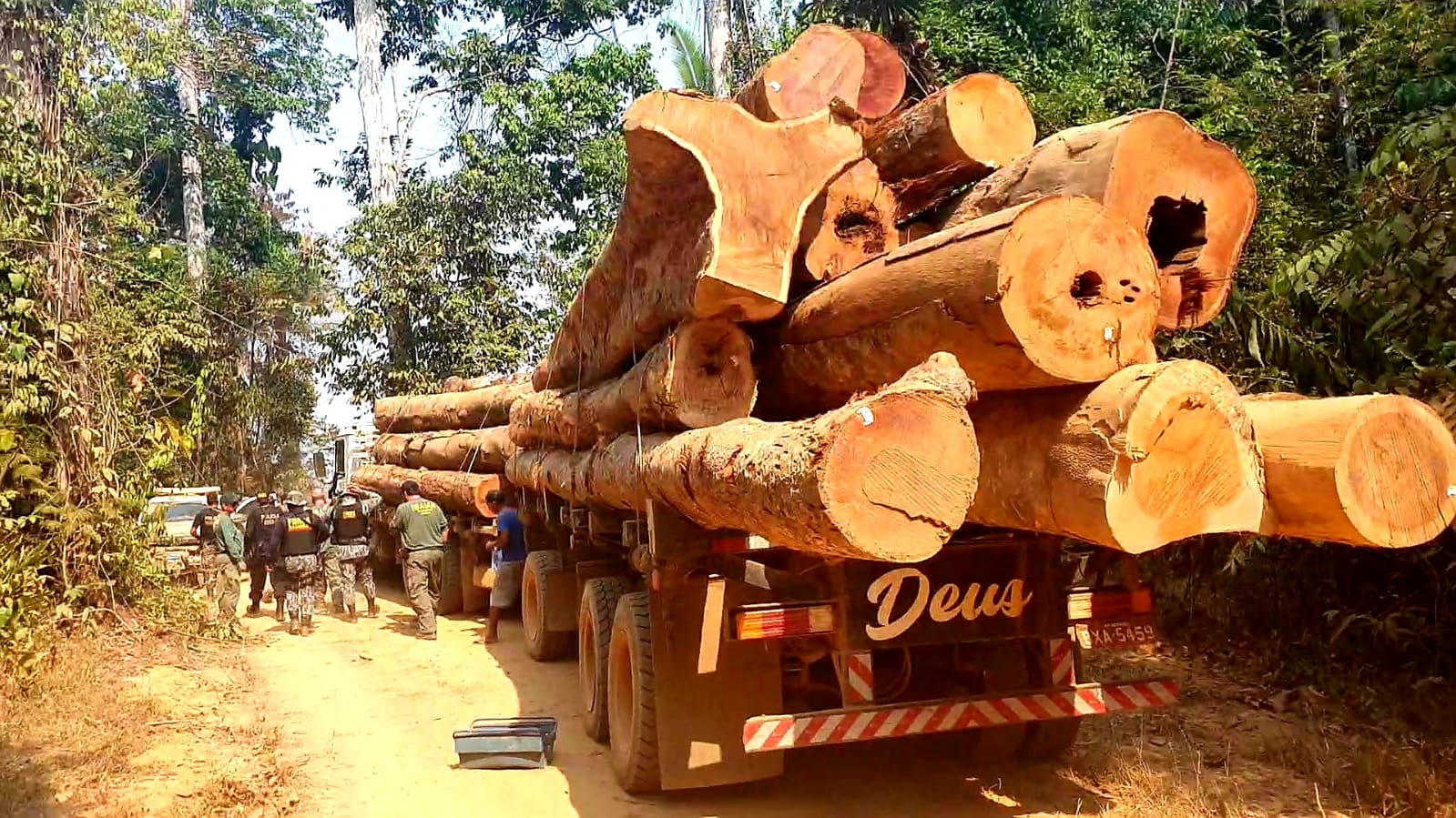 PF realiza ação de repressão ao desmatamento na Terra Indígena Kawahiva