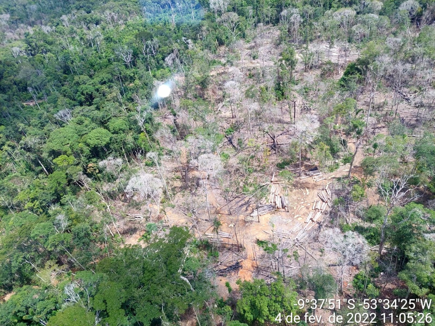 Pol Cia Federal Deflagra Opera O Contra Desmatamento Em Terra Ind Gena