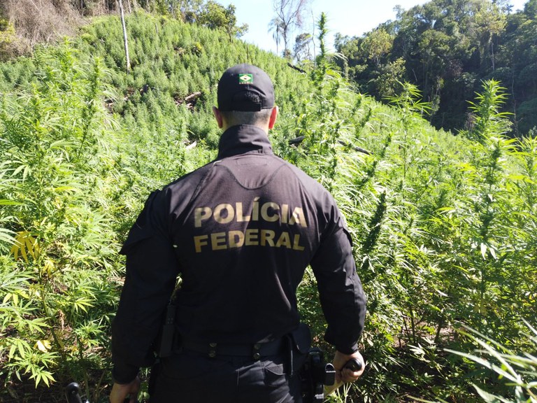 Polícia Federal e SENAD encerram mais uma fase da Operação Nova Aliança