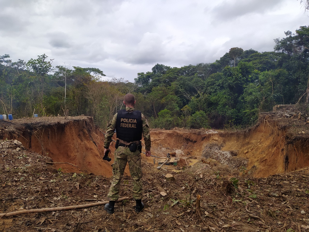 PF desarticula esquema de exploração de cassiterita na Terra Indígena