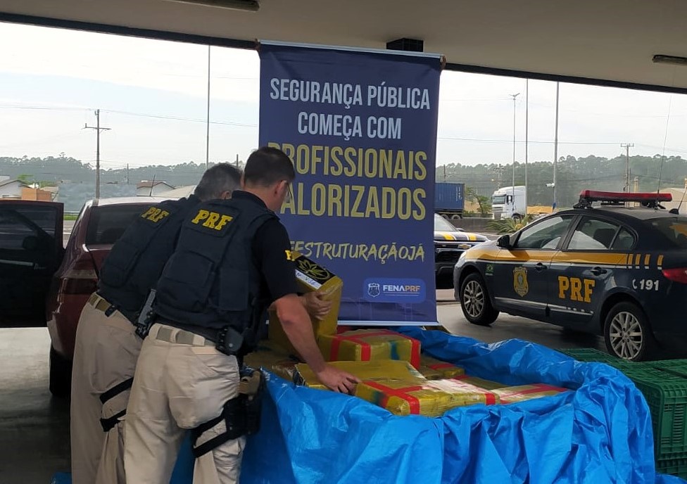 Mais De Meia Tonelada De Maconha Localizada Em Carro E Carretinha Na