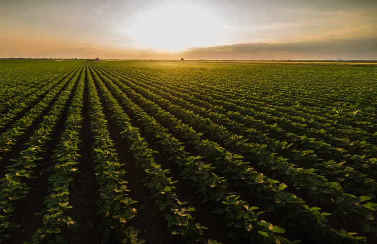 Valor Da Produ O Agropecu Ria De Est Estimado Em R