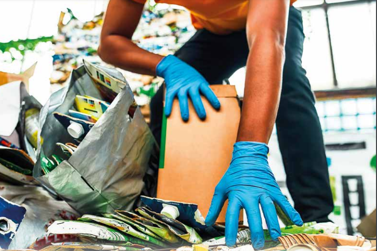 Governo recria Pró Catador e aprimora decreto da reciclagem