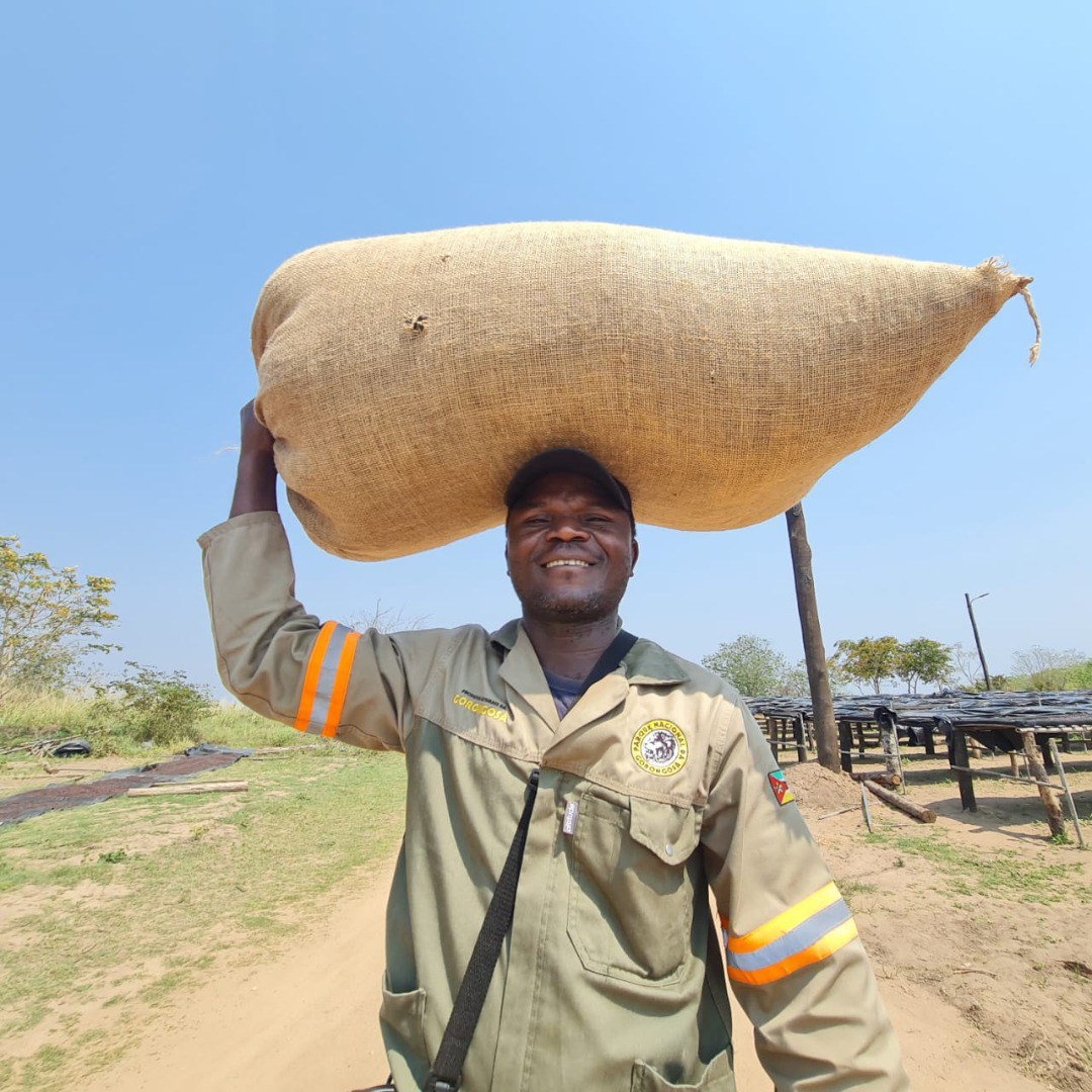 El Proyecto Tricafé