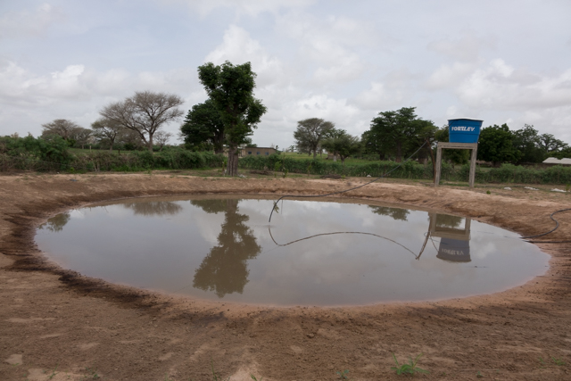 ABC envia missão de avaliação do Projeto PAIS ao Senegal 8.JPEG