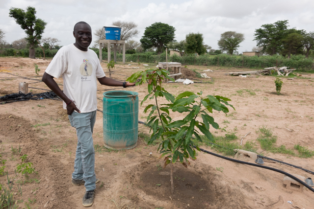 ABC envia missão de avaliação do Projeto PAIS ao Senegal 9.JPEG