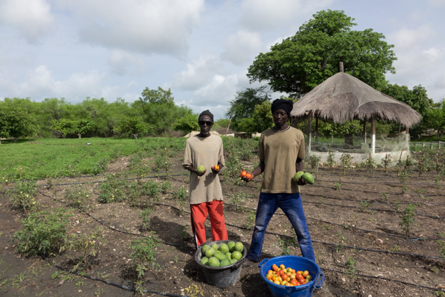 ABC envia missão de avaliação do Projeto PAIS ao Senegal.JPEG