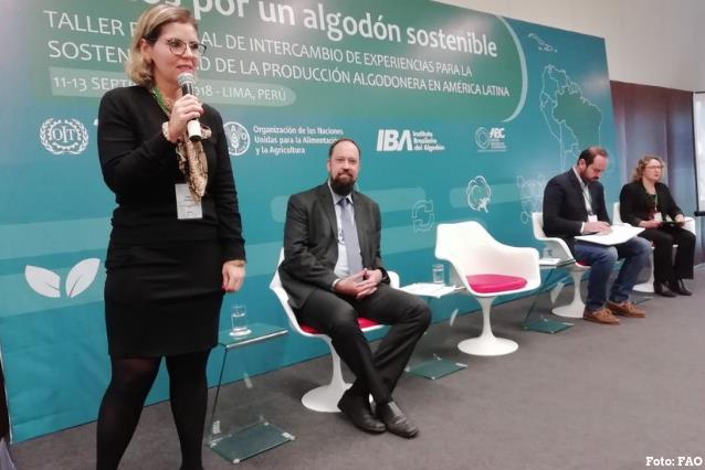 FAO e OIT organizam evento sobre sustentabilidade na produção do algodão.JPEG