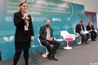 ABC, FAO e OIT organizam evento sobre sustentabilidade na produção do algodão