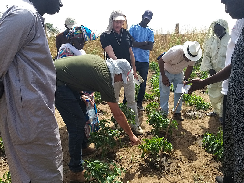 Agroecologia avança no Senegal com apoio de técnicos brasileiros 1.JPEG