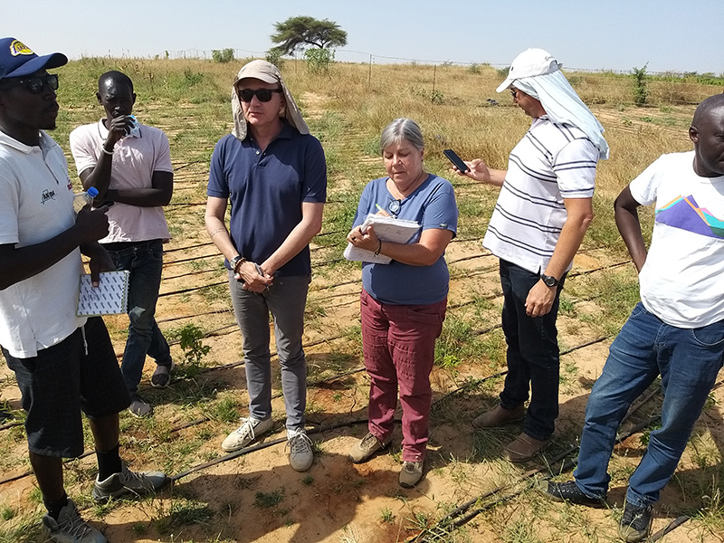 Agroecologia avança no Senegal com apoio de técnicos brasileiros 2.JPEG