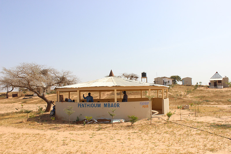 Agroecologia avança no Senegal com apoio de técnicos brasileiros 4.JPEG