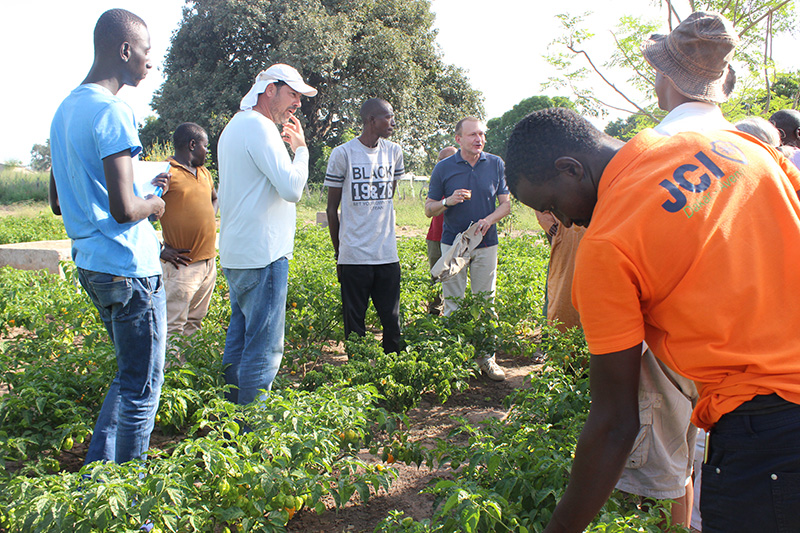 Agroecologia avança no Senegal com apoio de técnicos brasileiros 5.JPEG