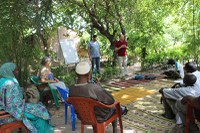 Agroecologia avança no Senegal com apoio de técnicos brasileiros