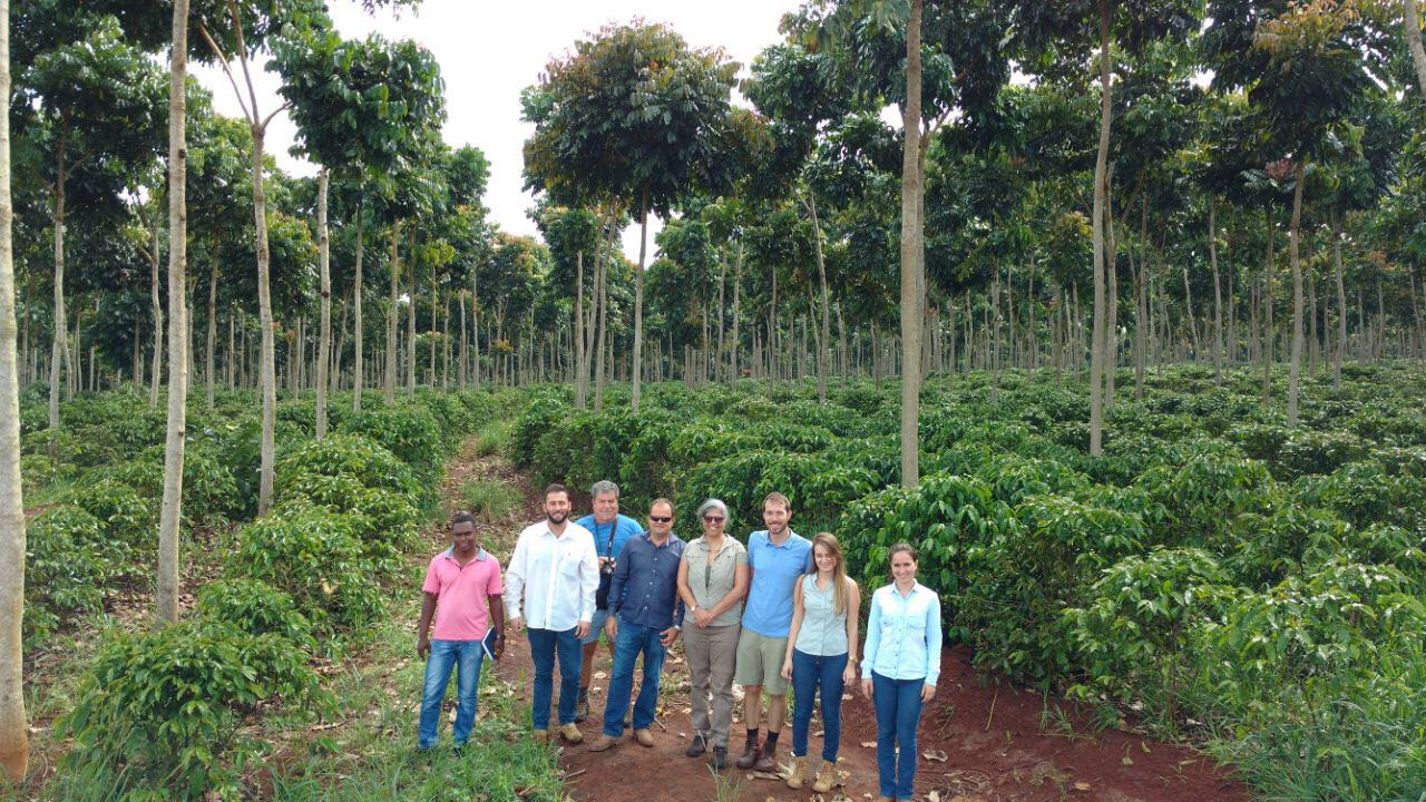 Assinado projeto trilateral para produção de café em Moçambique.JPEG