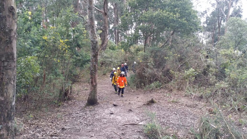 Corpo de Bombeiros do DF