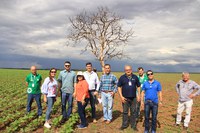 Brasil e El Salvador cooperam no setor agrícola