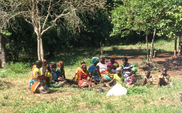 Brasil e Portugal unem esforços na produção sustentável do café no parque da Gorongosa.JPEG