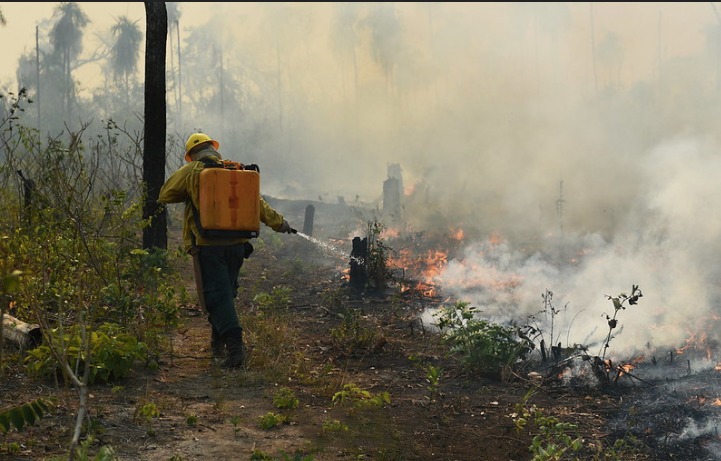 Brasil, Japão e UNOPS cooperam para combater incêndios florestais na região amazônica 3.JPEG