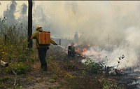 Brasil, Japão e UNOPS cooperam para combater incêndios florestais na região amazônica