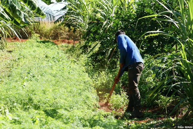 Brasil participa da Semana da Agricultura e Alimentação em Buenos Aires.JPEG