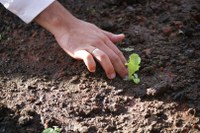 Brasil participa de consultas para a construção conjunta de indicadores para políticas agroambientais