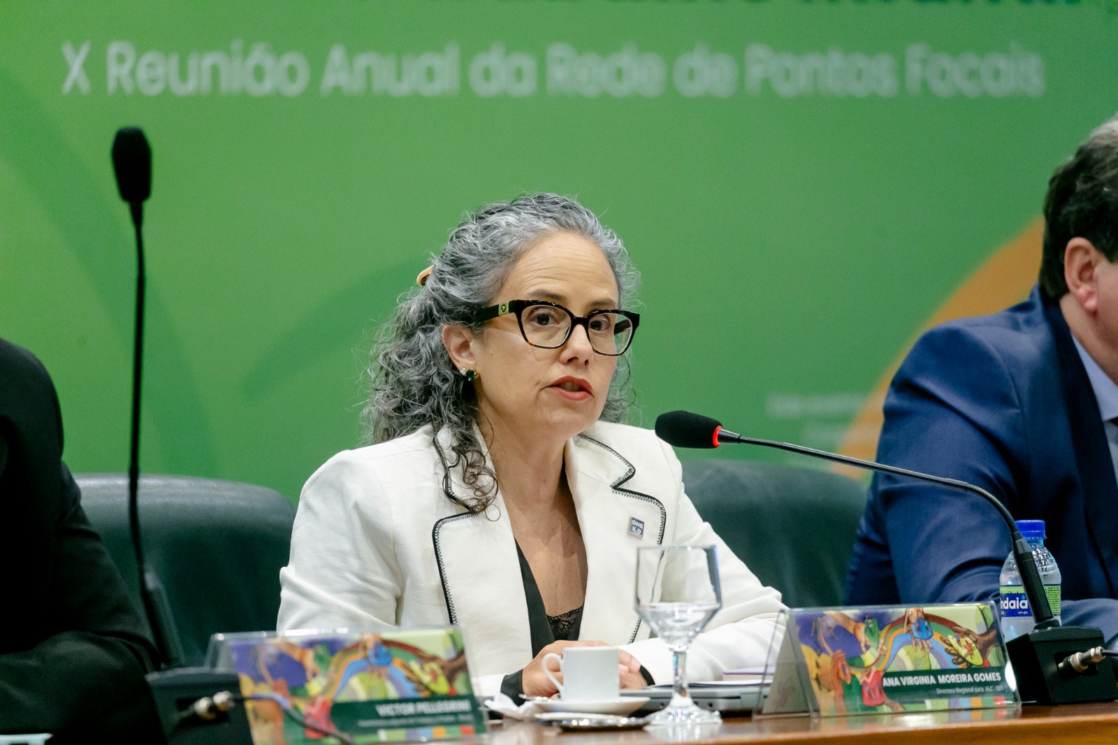  Diretora Regional da OIT, Ana Virginia Moreira Gomes