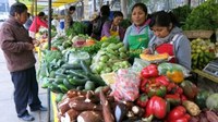 Circuitos curtos de comercialização: uma experiência para aproximar o campo e a cidade e fortalecer a agricultura familiar organizada