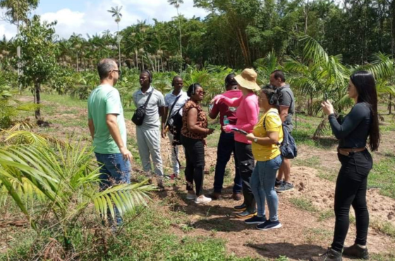 Cooperação brasileira contribui para produção e cultivo sustentável de açaí no Suriname.png