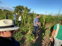 Cooperação brasileira: sementes de hortícolas serão doadas e hortas comunitárias serão instaladas em Moçambique