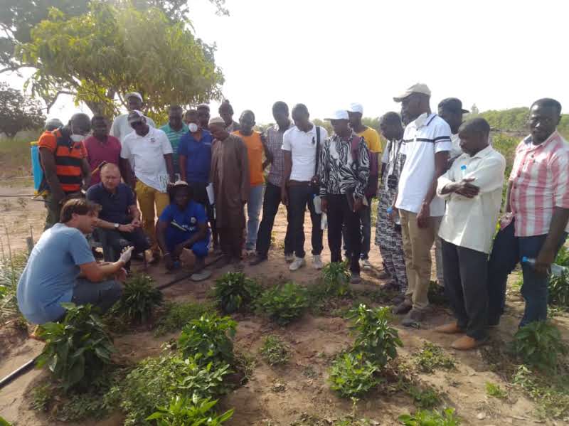 Cooperação com o Brasil torna Produção Agroecológica uma realidade no Senegal 4.JPEG