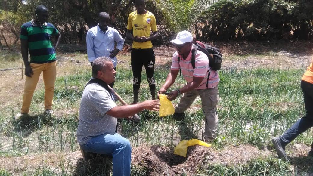 Cooperação com o Brasil torna Produção Agroecológica uma realidade no Senegal.JPEG