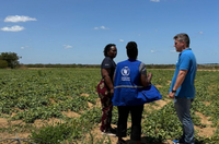 Cooperação em alimentação escolar: Quênia conhece boas práticas do semiárido brasileiro