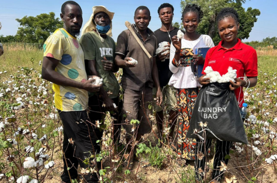 Cotton Solos: tecnologia brasileira melhora a fertilidade dos solos no Mali