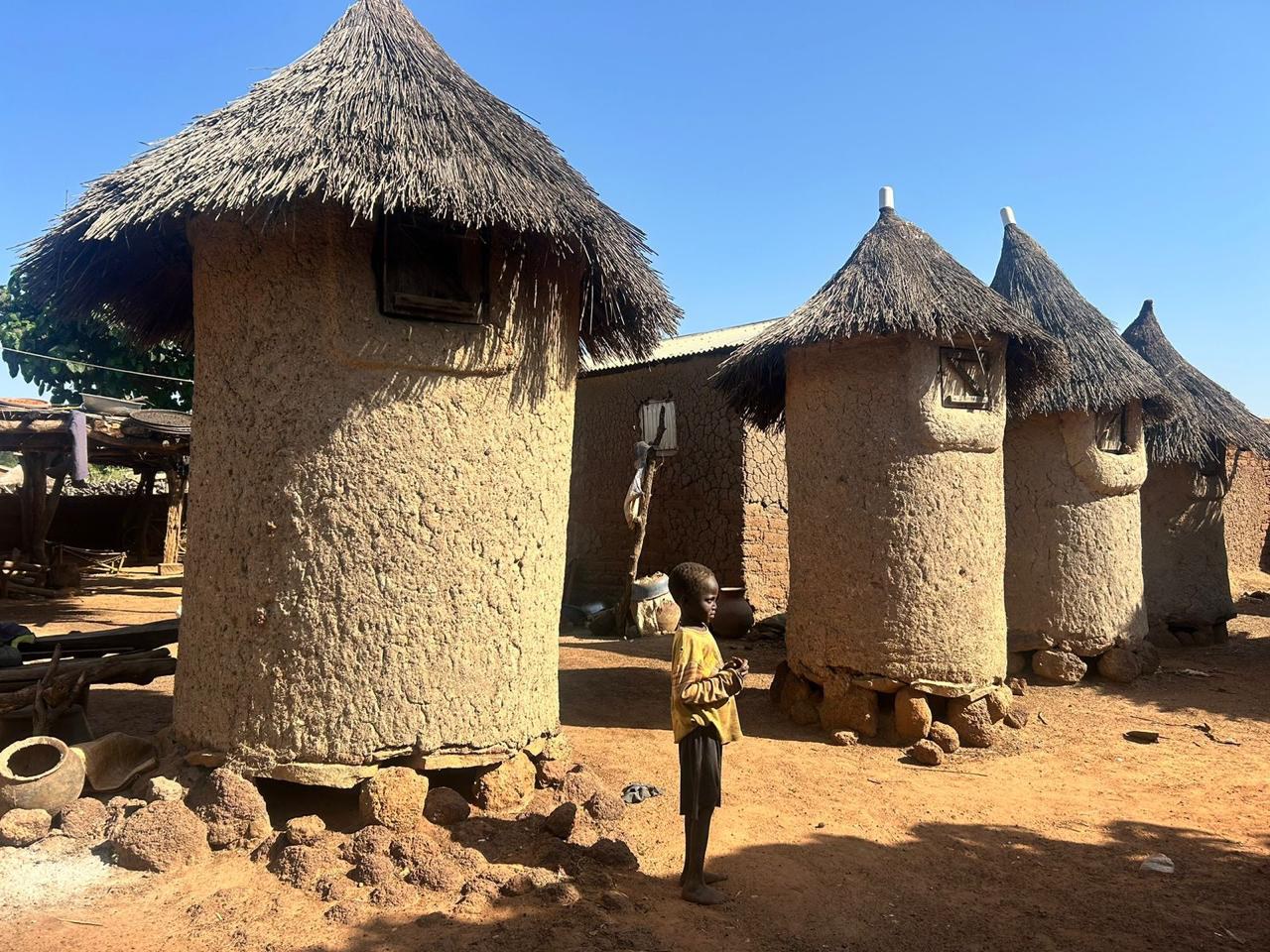 Cotton Solos tecnologia brasileira melhora a fertilidade dos solos no Mali