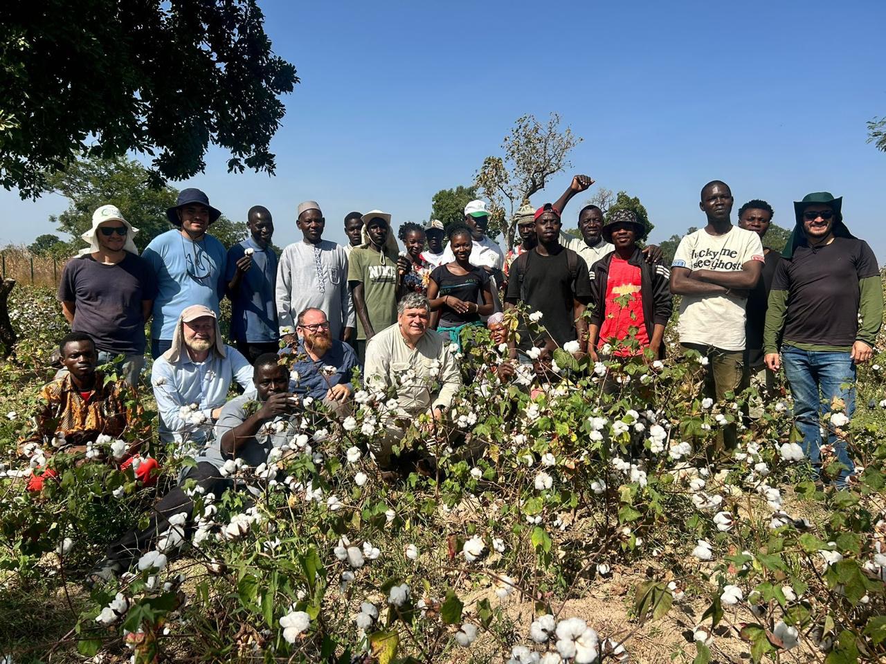 Cotton Solos tecnologia brasileira melhora a fertilidade dos solos no Mali