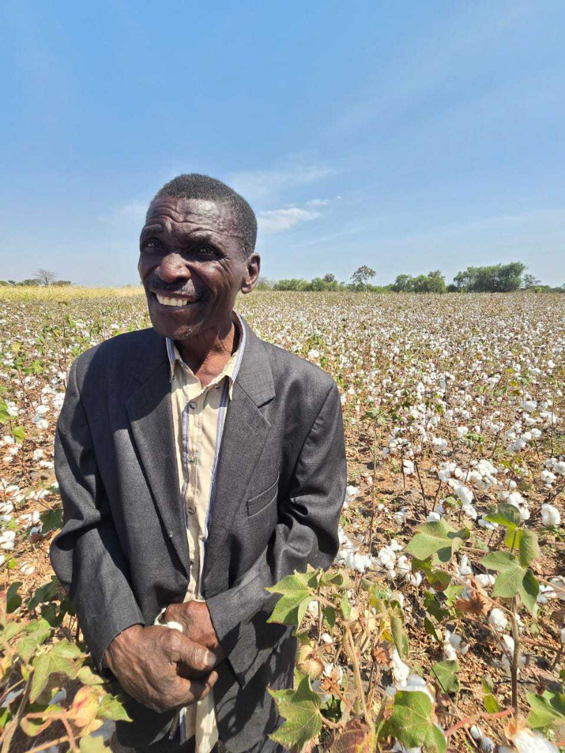 Cotton Victoria na Tanzânia 01.jpg