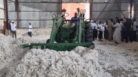 Cotton Victoria: comitê que acompanha o projeto se reúne na Tanzânia