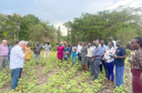 Curso de capacitação em produção de sementes de algodão é oferecido na África.png