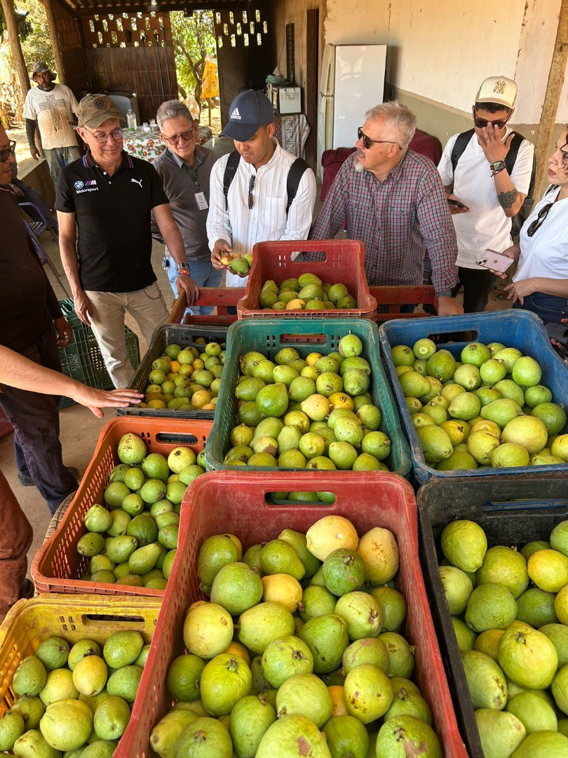 Delegação da Colômbia conhece política de compras da agricultura familiar no Brasil