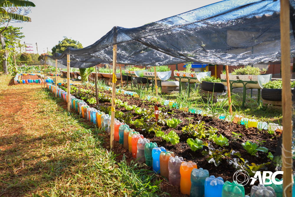 Educação saudável, intersetorialidade, controle social e compras da agricultura familiar para alimentação escolar 2.JPEG