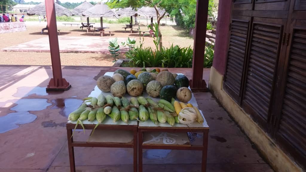 Escola na Guiné-Bissau inicia ano letivo 6.JPEG