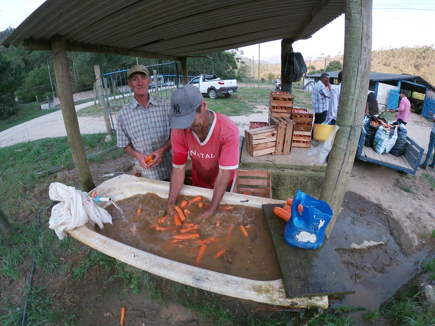 Visita as propriedades rurais de pequenos produtores de Seropédica.JPG