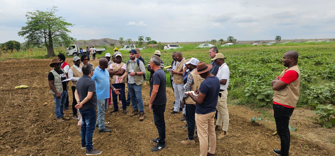 Experiência brasileira auxilia construção de política agrícola em Angola