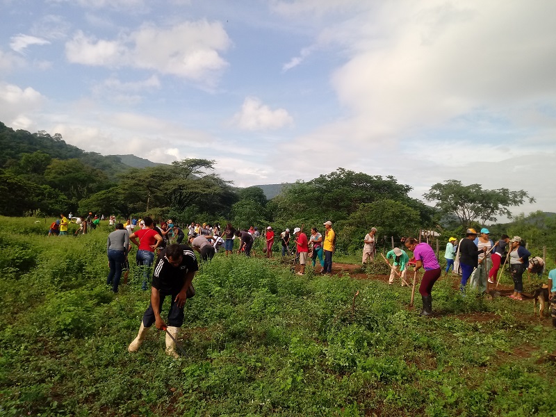 Iniciativa de Cooperação Trilateral Humanitária contribui para a segurança alimentar e nutricional na Bolívia e Colômbia 2.JPEG