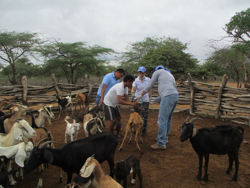 Iniciativa de Cooperação Trilateral Humanitária contribui para a segurança alimentar e nutricional na Bolívia e Colômbia 5.JPEG