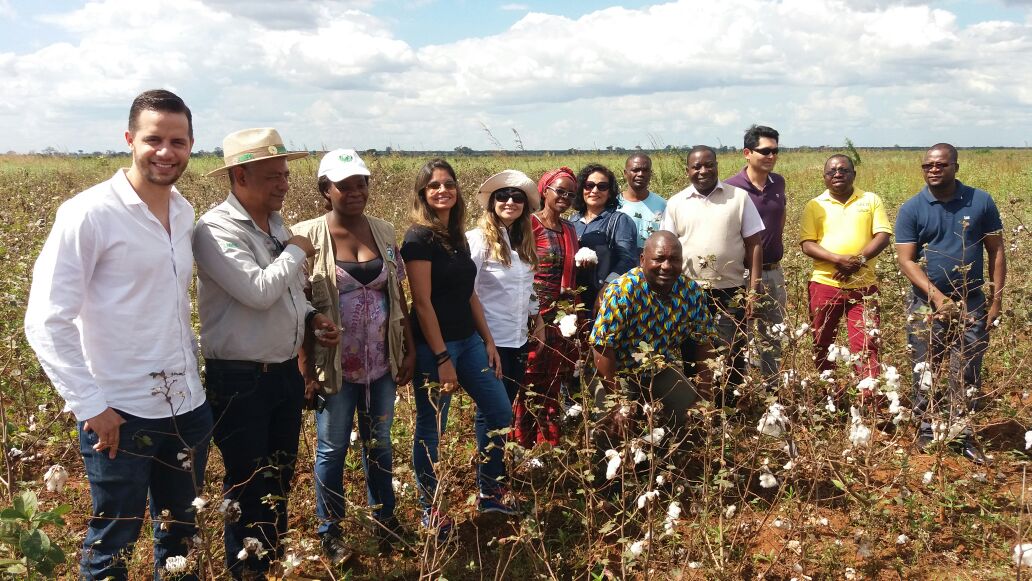 Iniciativas brasileiras de trabalho decente no setor algodoeiro viram exemplo para outros países 5.JPEG