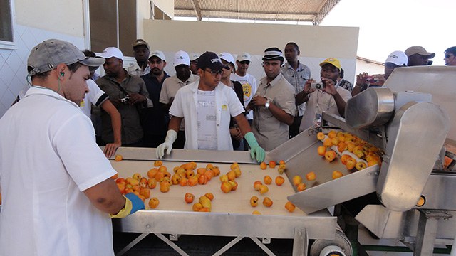 IV Curso Internacional em Produção, Pós-Colheita e Processamento Industrial do Cajú.JPEG